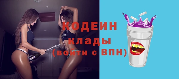 ECSTASY Лагань