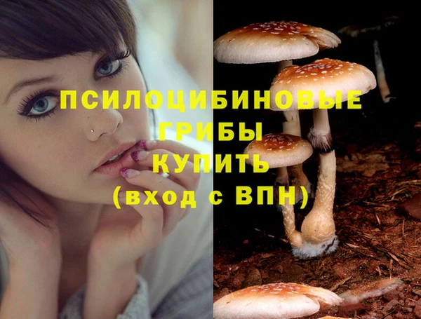 ECSTASY Лагань