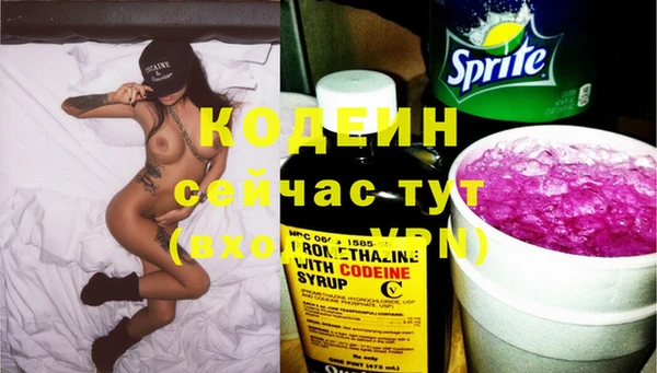 ECSTASY Лагань