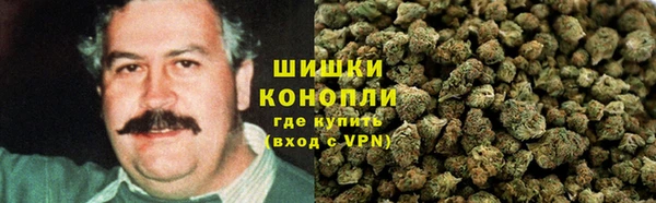 герыч Мегион