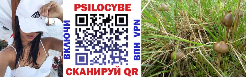 Галлюциногенные грибы Magic Shrooms  где купить   Великий Новгород 