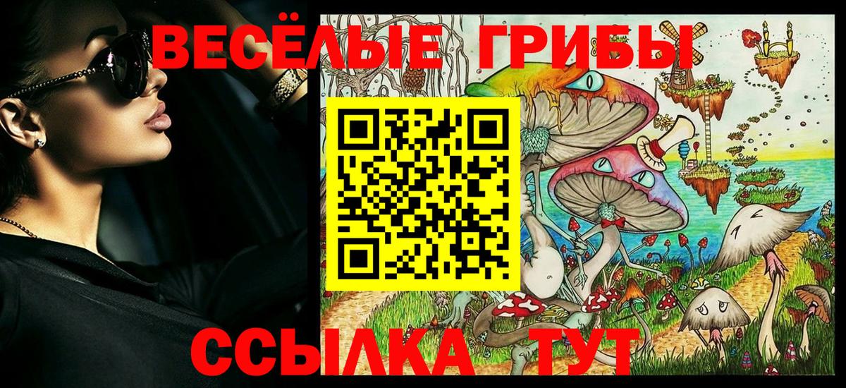 продажа наркотиков  Галлюциногенные грибы мухоморы  Великий Новгород  Псилоцибиновые грибы Cubensis 