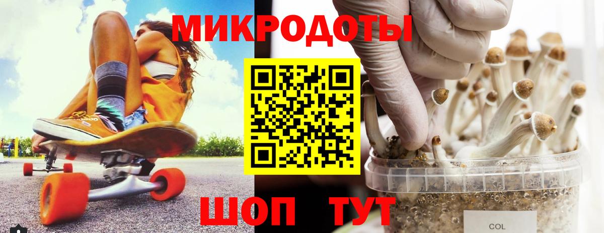 Псилоцибиновые грибы Psilocybe Великий Новгород